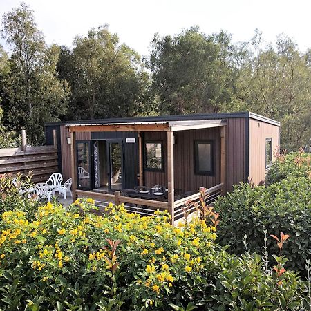 Camping Les Castors Calvi  Ngoại thất bức ảnh