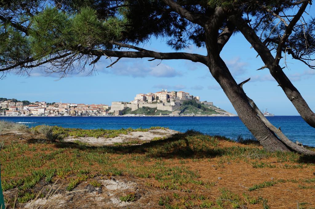 Camping Les Castors Calvi  Ngoại thất bức ảnh