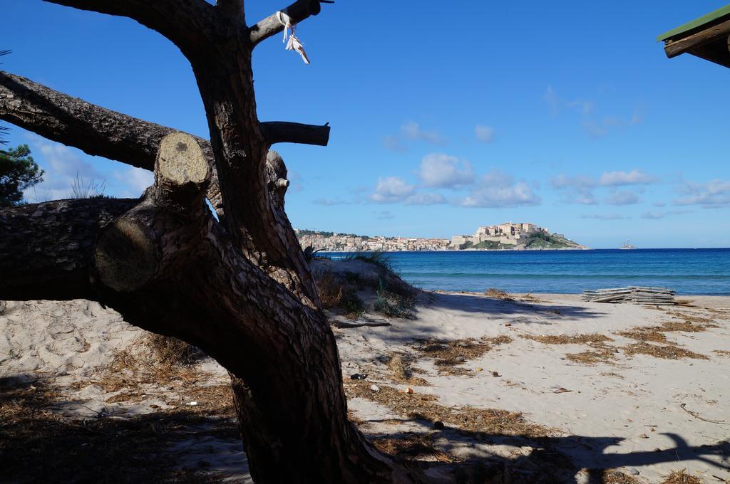 Camping Les Castors Calvi  Ngoại thất bức ảnh