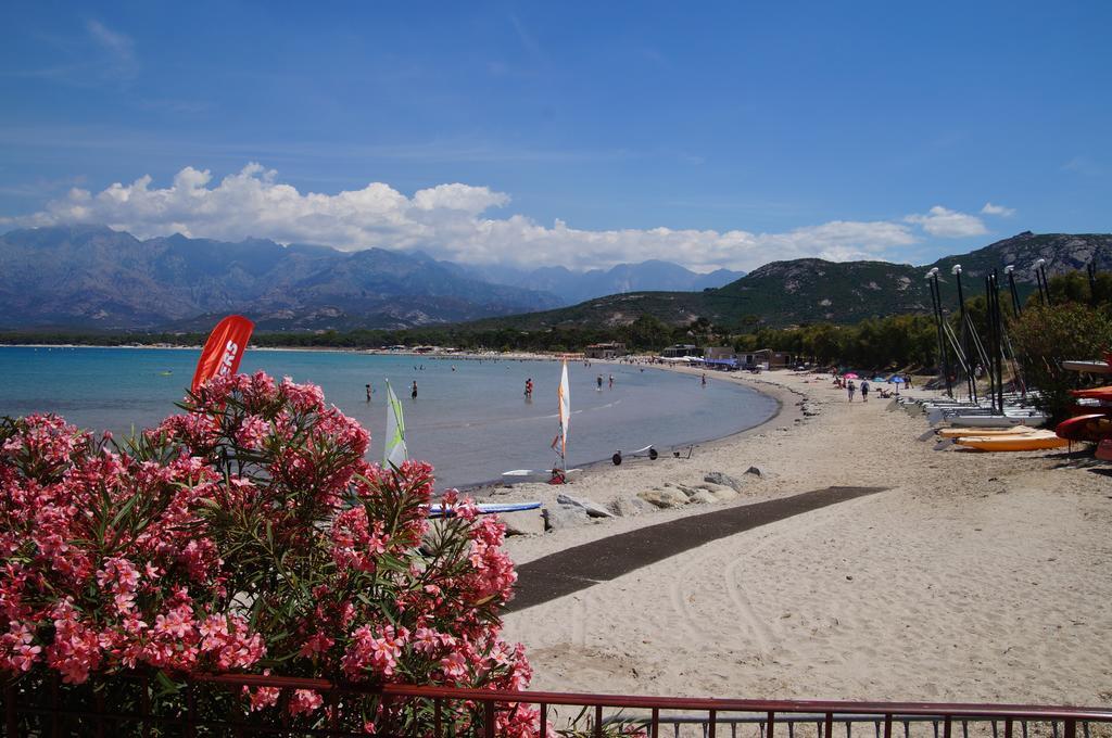 Camping Les Castors Calvi  Ngoại thất bức ảnh